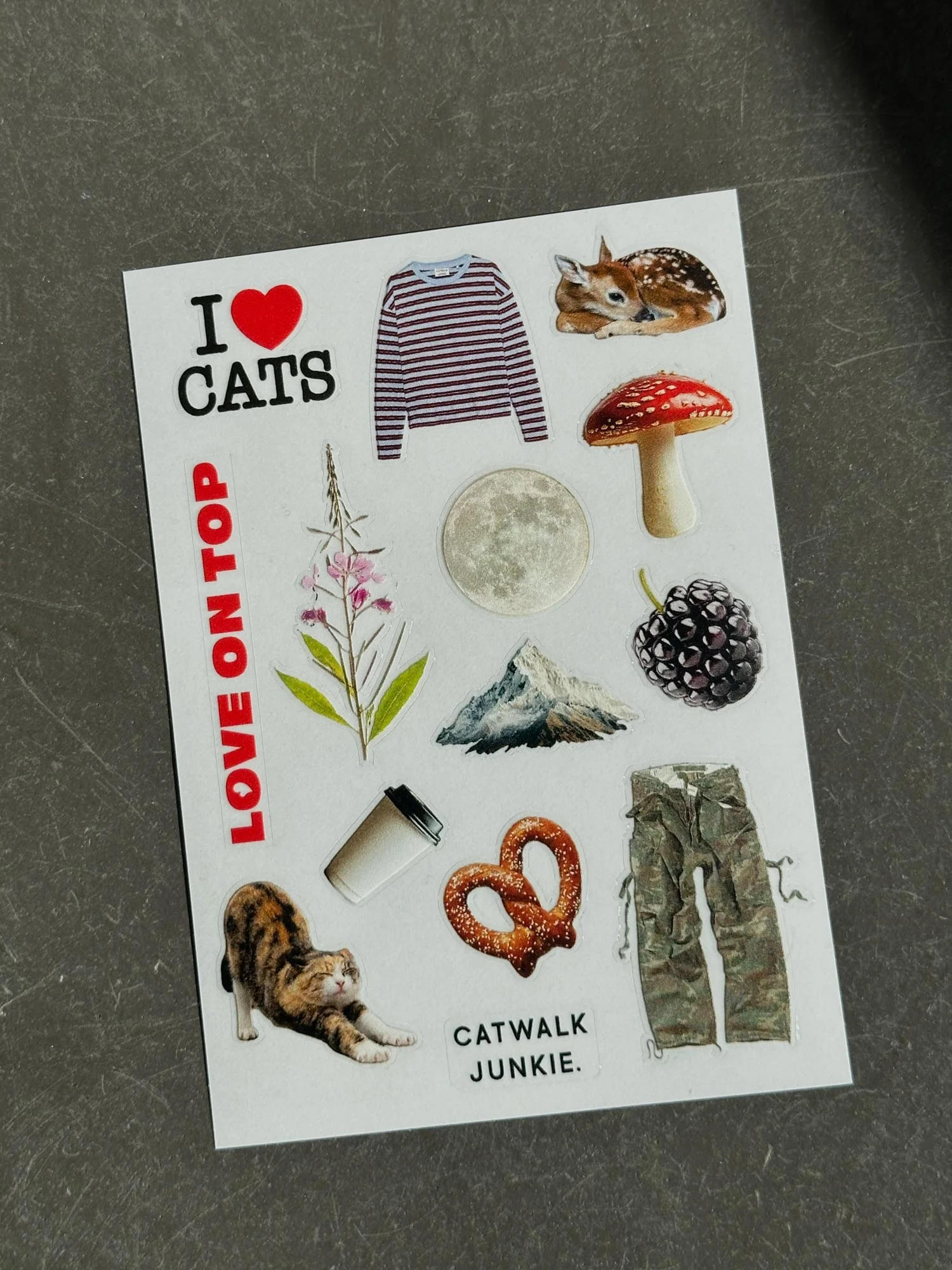 Miniatuur 2